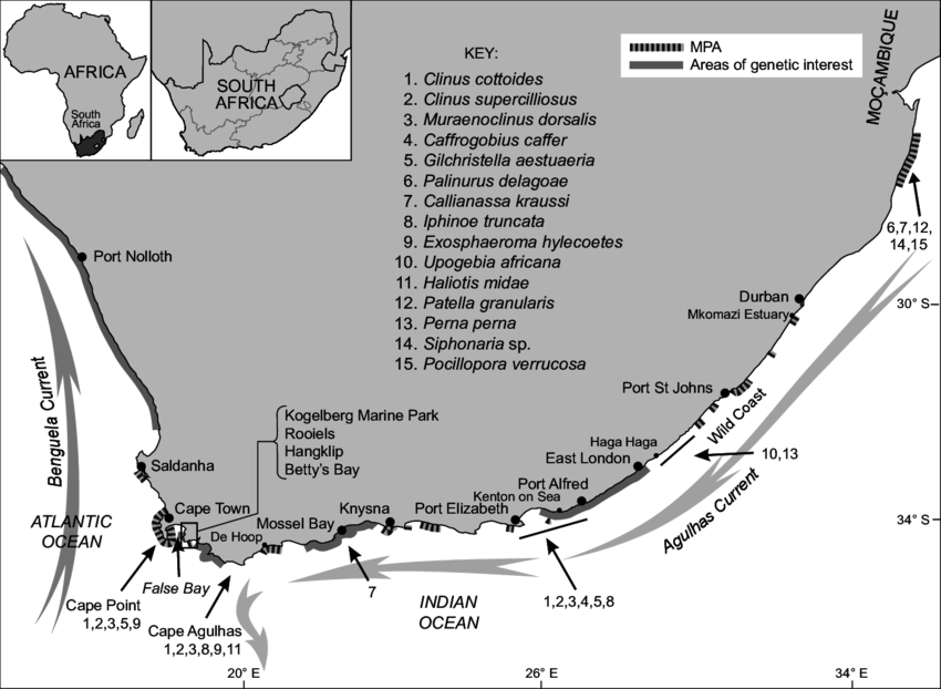 South Africa coast