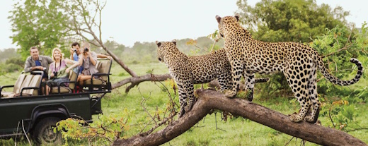 South Africa
