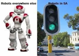 robots south africa